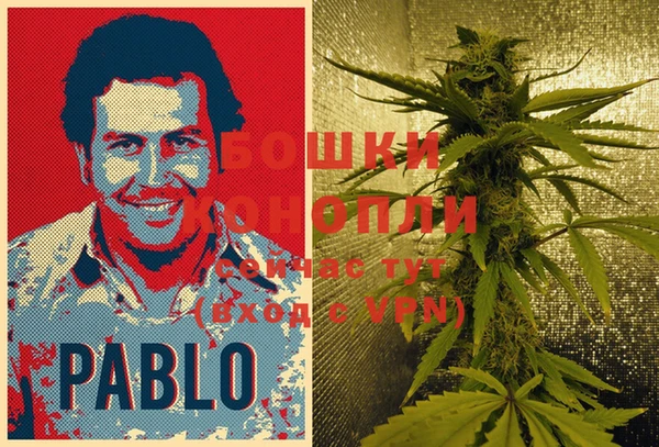 МДМА Козловка
