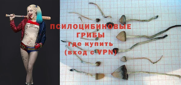 МДМА Козловка